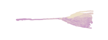 Ilustración de una escoba